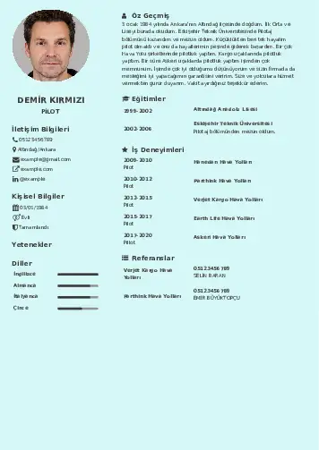 Pilot CV Örnekleri cv indir